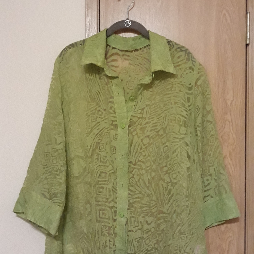 Sheer blouse